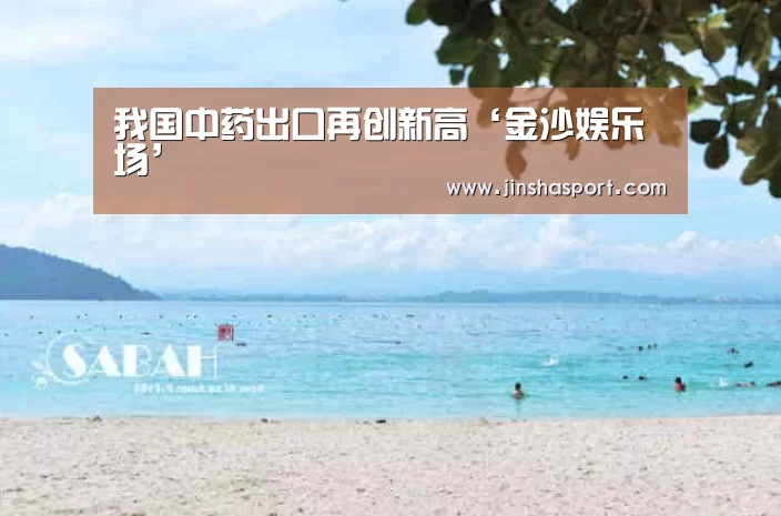 金沙